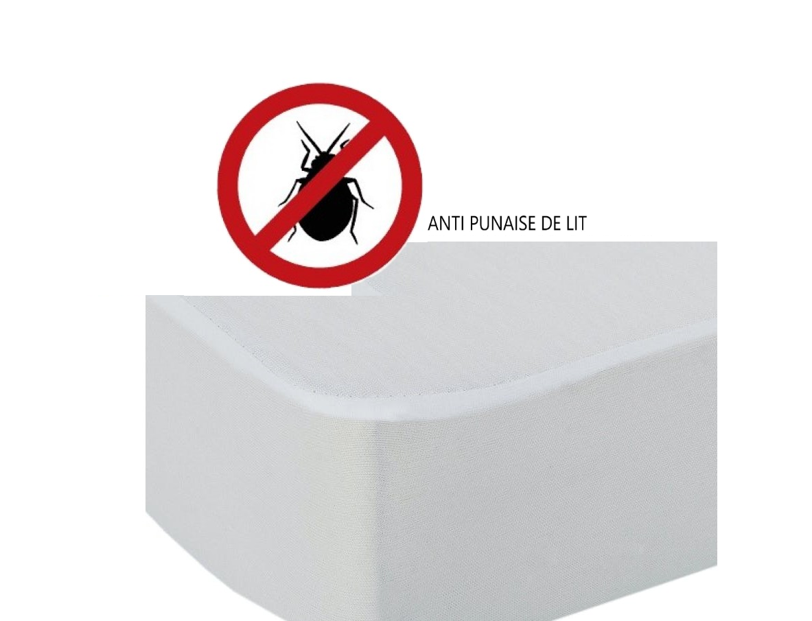 BUG SECURE ANTI PUNAISE DE LIT - Urban Confort Nice